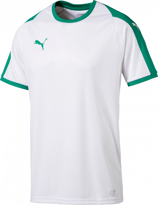 white and green jersey