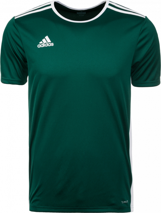 Adidas Entrada 18 game jersey › Green Dark \u0026 white (CD8358) › 9 Colors ›  T-shirts \u0026 polos