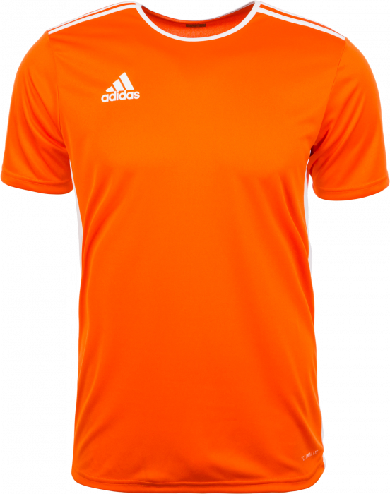 Adidas Entrada 18 game jersey › Orange \u0026 bianco (CD8366) › 9 Colori ›  T-shirt e polo tramite Adidas