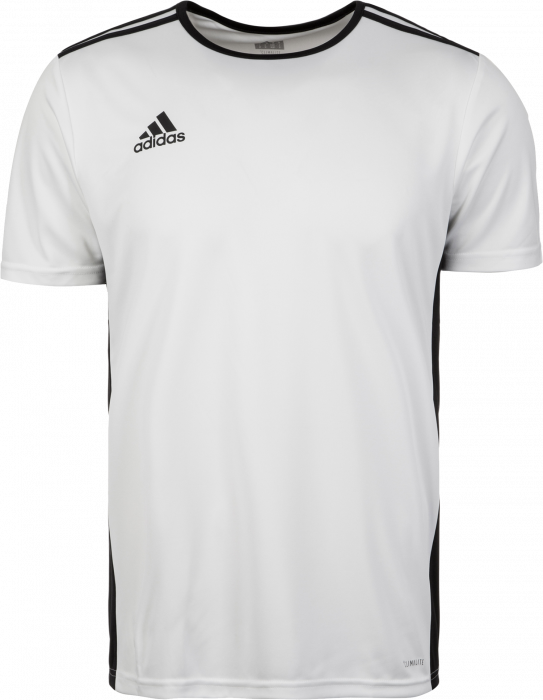 Adidas Entrada 18 game jersey › White \u0026 black (CD8438) › 9 Colors › T-shirts  \u0026 polos