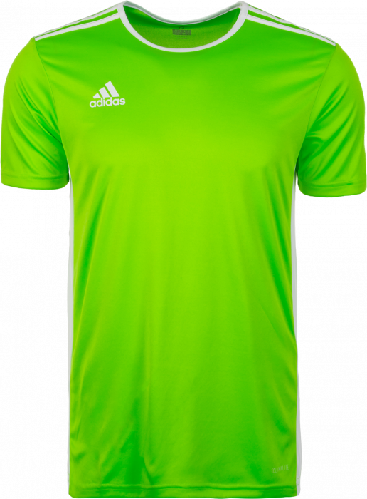 Adidas Entrada 18 game jersey › Solar Green \u0026 white (CE9758) › 9 Colors ›  T-shirts \u0026 polos › Gymnastics