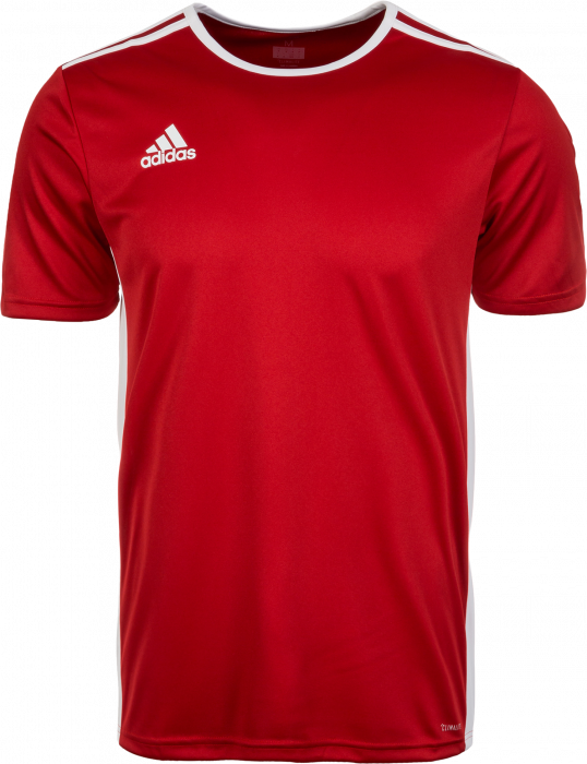 Adidas Entrada 18 game jersey › Red \u0026 white (CF1038) › 9 Colors › T-shirts  \u0026 polos by Adidas