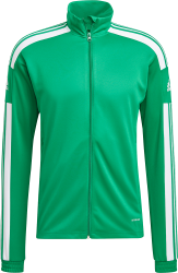 Adidas Entrada › hoodie 22 9 green › Colors (HI2141) Team & white